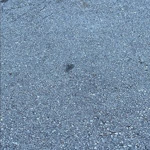 Meet your Posher, Thao